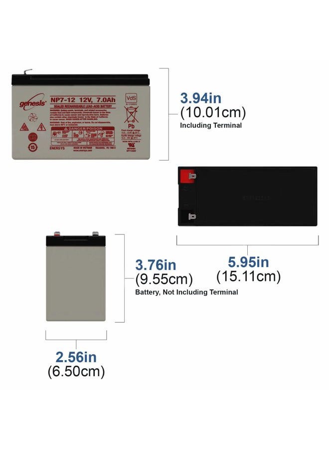 ENERSYS بطارية الرصاص الحمضية المغلقة EnerSys Genesis NP7-12 12V 7Ah - مصباح LED نبتون مجاني - Image 2