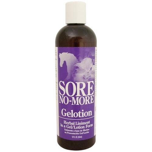 Arenus Sore No More Gelotion Bottle (12-Ounce) - Image 1