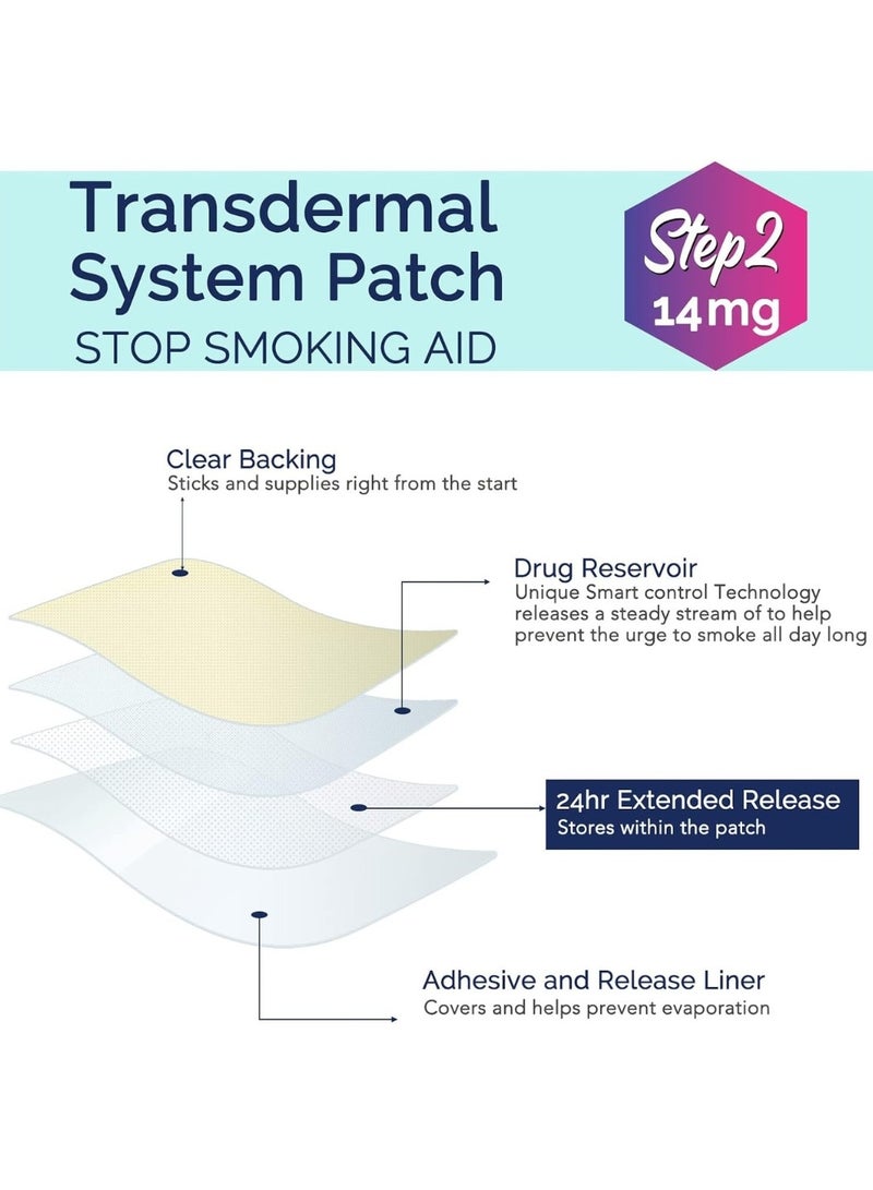 Sefudun 30 Count Patches Step 2 Smoking Aid to Quit Smoking Delivered Over 24 Hours Transdermal System Long-Lasting Quit Patches for Stop Smoking Aids Easy and Effective Anti Stickers 14mg - Image 2