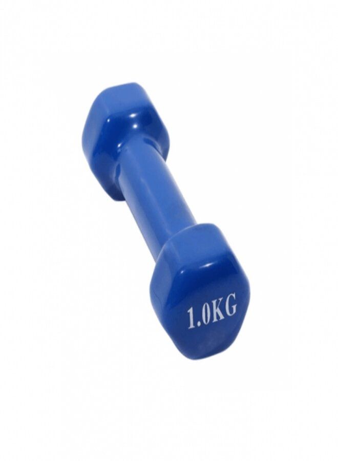 Vinyl Coated Dumbbell 1kg - Image 1