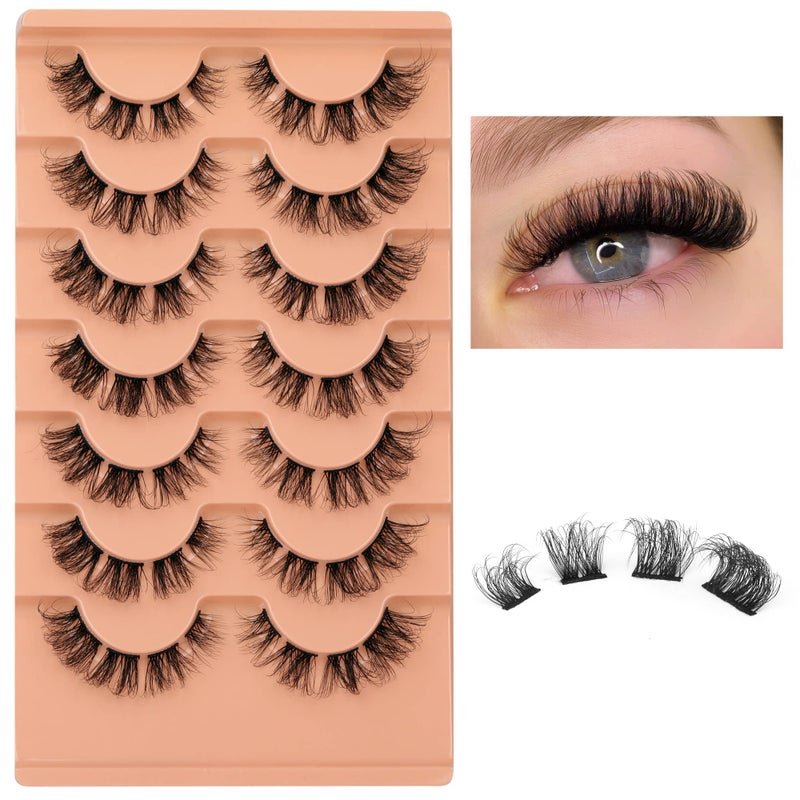 Eefofnn Fluffy Cluster Eyelash Extensions Natural Lash Clusters Spider Cluster Lashes D Curl Individual Lashes Wispy Eyelash Extensions Lashes Strips DIY Lash Extensions False Eyelashes Multipack by Eefofnn - Image 2