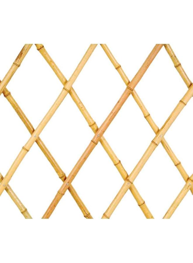 SGC Gl 4192 Pe Coated Trellis - Image 4