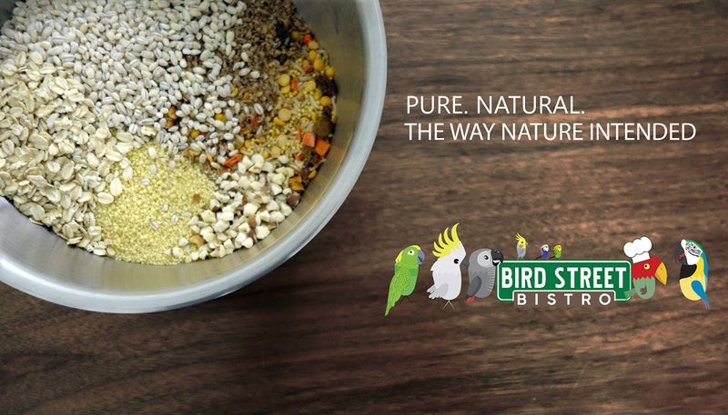 Bird Street Bistro Parrot Food for Parakeets & Cockatiels - Cajun Bean - 20 oz - Cooks in 3-15 min, Natural & Organic Grains, Fruits & Vegetables - USA Made - Image 4
