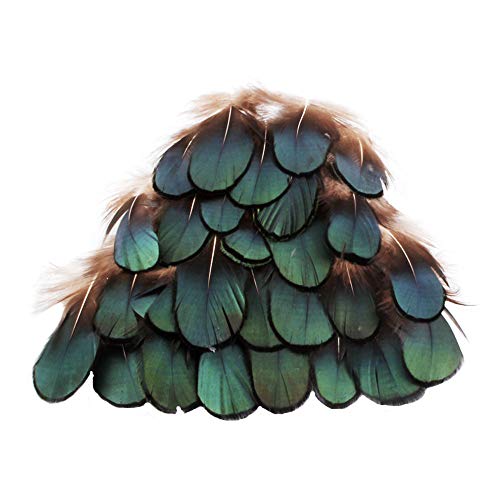 Ximimark 60Pcs Green Bronze Iridescent for DIY Wedding Sewing Crafts Costumes Decoration - Image 1