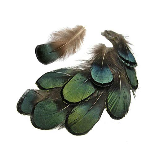 Ximimark 60Pcs Green Bronze Iridescent for DIY Wedding Sewing Crafts Costumes Decoration - Image 5