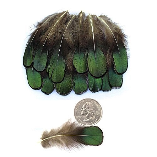Ximimark 60Pcs Green Bronze Iridescent for DIY Wedding Sewing Crafts Costumes Decoration - Image 3