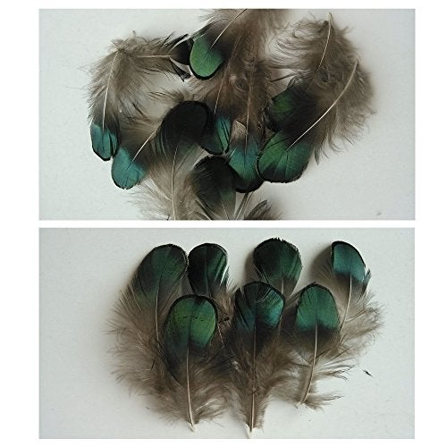 Ximimark 60Pcs Green Bronze Iridescent for DIY Wedding Sewing Crafts Costumes Decoration - Image 4