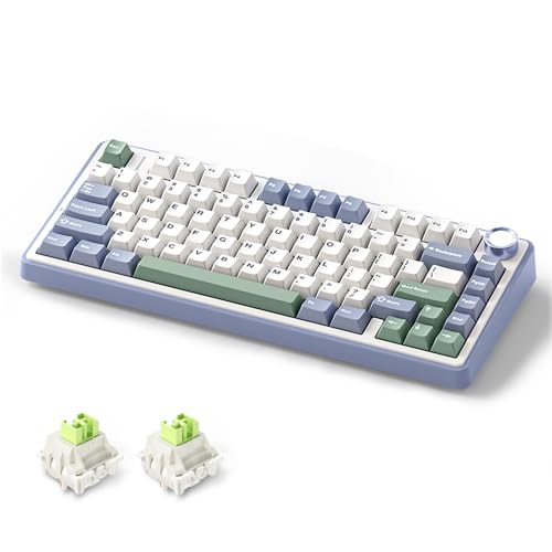 MOLGRIA x Aula F75 Gaming Keyboard, Triple Mode Connected 75% Light Blue Mechanical Keyboard with South-Facing RGB Backlit and Knob(Green,LEOBOG Reaper Switch) - Image 1