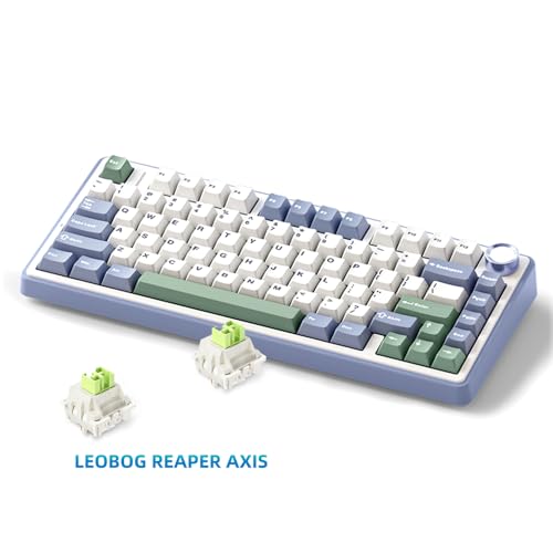 MOLGRIA x Aula F75 Gaming Keyboard, Triple Mode Connected 75% Light Blue Mechanical Keyboard with South-Facing RGB Backlit and Knob(Green,LEOBOG Reaper Switch) - Image 2