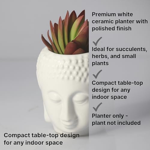Brahmz Ceramic Planters, Table Top Indoor Planter Pot White Ceramic Planter for Indoor Plants and Succulents Pot (Small) - Image 4