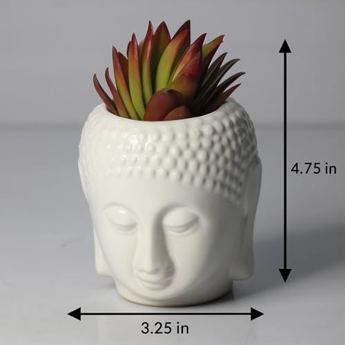Brahmz Ceramic Planters, Table Top Indoor Planter Pot White Ceramic Planter for Indoor Plants and Succulents Pot (Small) - Image 3