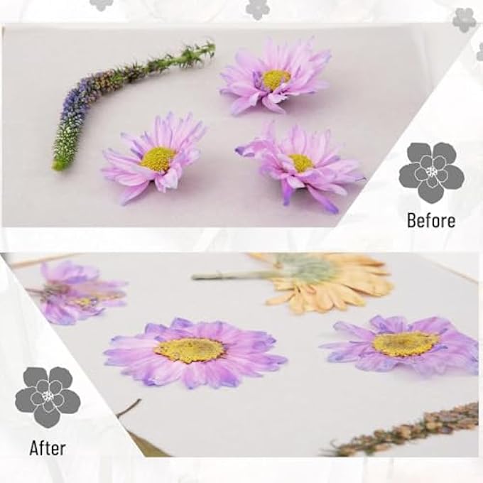 LARGE FLOWER PRESS KIT FOR ADULTS, LEAF PRESS KIT FOR DRYING, PRESERVING & MAKING PRESSED FLOWERS AND PLANTS, GREAT GIFT FOR ART AND DIY CRAFT LOVERS ENTHUSIASTS (WOODEN- 11"X11") - Image 3