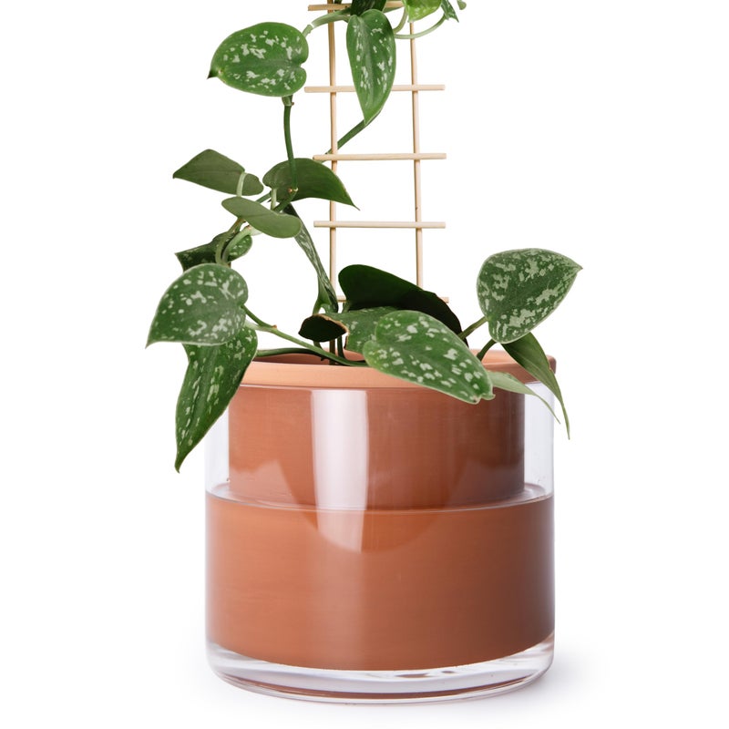 Phoenix Vine 6 Inch Self Watering Plants Pot, Design Terracotta Pot for Plants, Indoor Cylinder Terra Cotta Planter with Glass Vase, Set of 1, 51-A-F-1 - Image 1