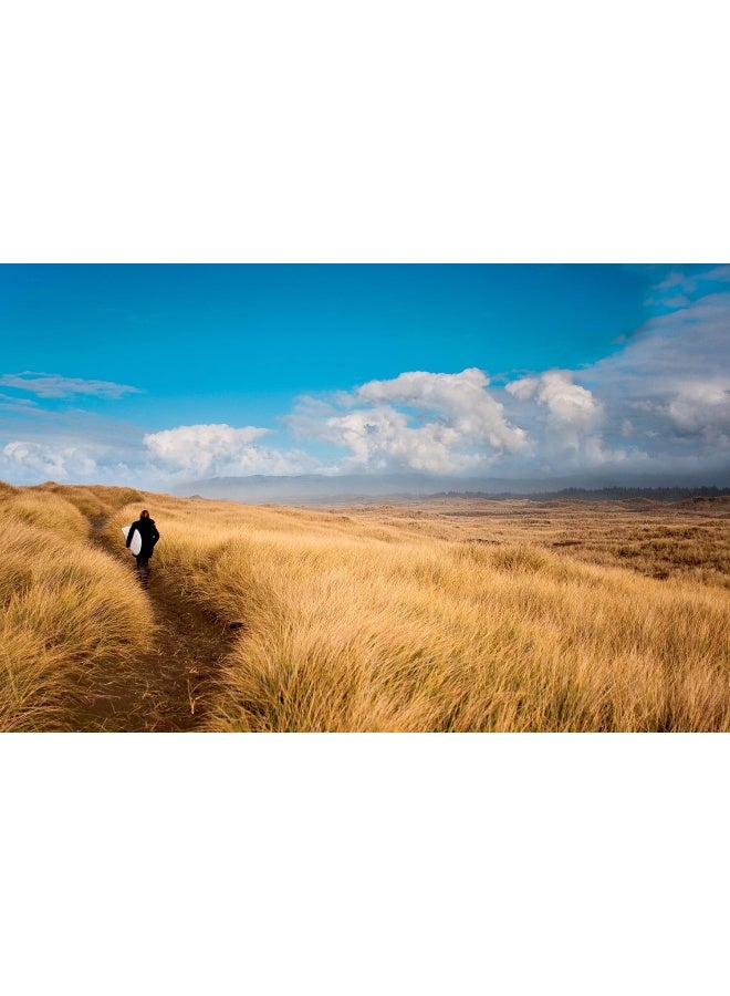 Wayward: Stories and Photographs  - Image 2