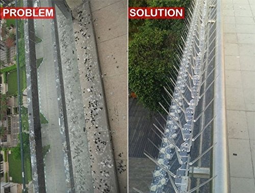SpikeZone - Bird Spikes - Pigeon Control Spikes (Bird Spikes 7 Pcs, Black) - Image 3