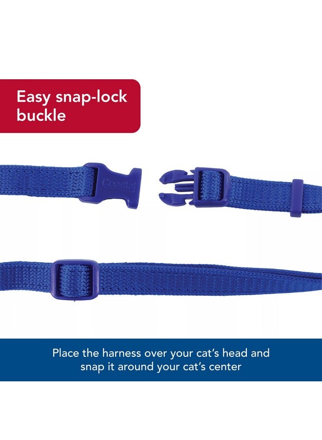 كوستال حزام قطط قابل للتعديل ومضاد للتشابك من كوستال بيت، مقاس مناسب - حزام مريح للقطط - قابل للتعديل - مستلزمات حيوانات أليفة عالية الجودة - متوسط وصغير - أزرق، 3/8 بوصة × 12-18 بوصة - Image 4