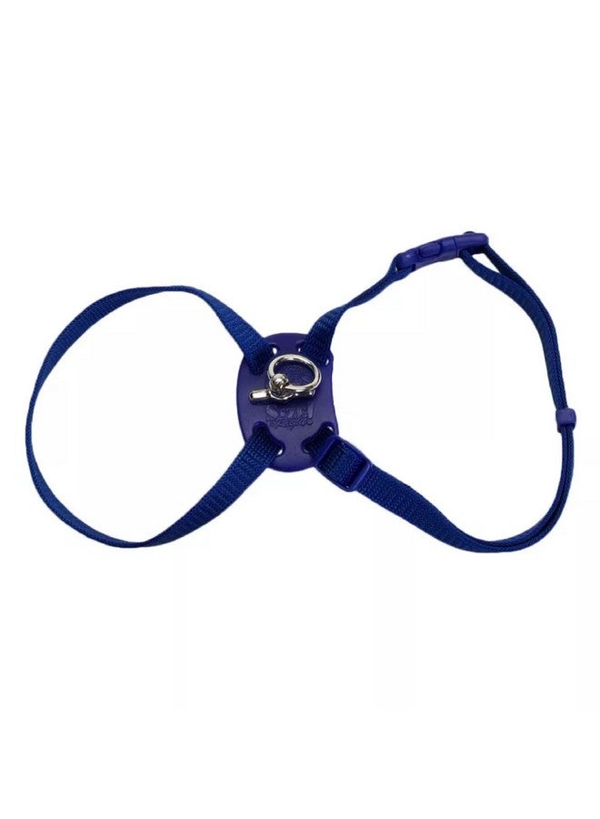 كوستال حزام قطط قابل للتعديل ومضاد للتشابك من كوستال بيت، مقاس مناسب - حزام مريح للقطط - قابل للتعديل - مستلزمات حيوانات أليفة عالية الجودة - متوسط وصغير - أزرق، 3/8 بوصة × 12-18 بوصة - Image 1