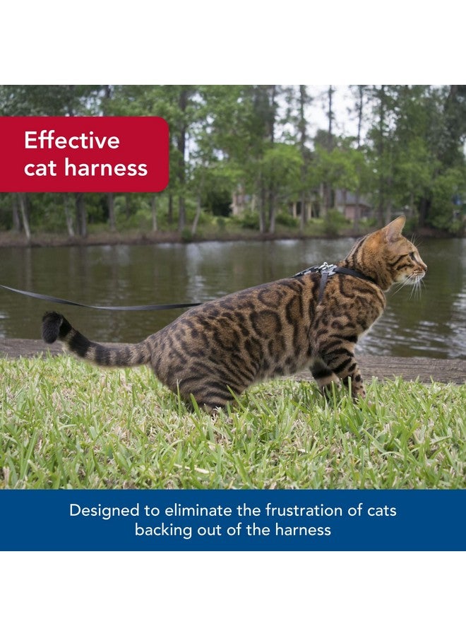 كوستال حزام قطط قابل للتعديل ومضاد للتشابك من كوستال بيت، مقاس مناسب - حزام مريح للقطط - قابل للتعديل - مستلزمات حيوانات أليفة عالية الجودة - متوسط وصغير - أزرق، 3/8 بوصة × 12-18 بوصة - Image 3