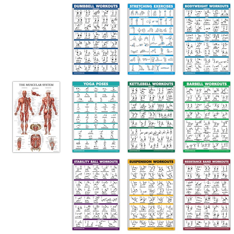 Palace Learning 10 Pack  Exercise Workout Poster Set  Dumbbell Suspension Kettlebell Resistance Bands Stretching Bodyweight Barbell Yoga Poses Exercise Ball Muscular System PAPER NON LAMINATED18 x 24