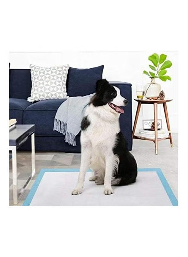 Sanita Dogs Ultra Absorbent Pets Pee Pads With Leak Proof Moisture Locking Technology 20 Pcs - 90x60 cm - Image 2