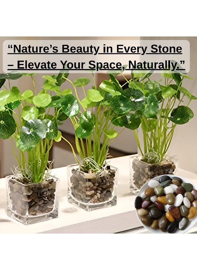 ARABIQO Mix Natural Decorative River Rock Stones 2.5 LB, Polished Garden Beach Pebbles for Vase Filler 2.5cm, Home Decor, Terrariums, DIY Crafts & Landscaping Projects  - Image 3