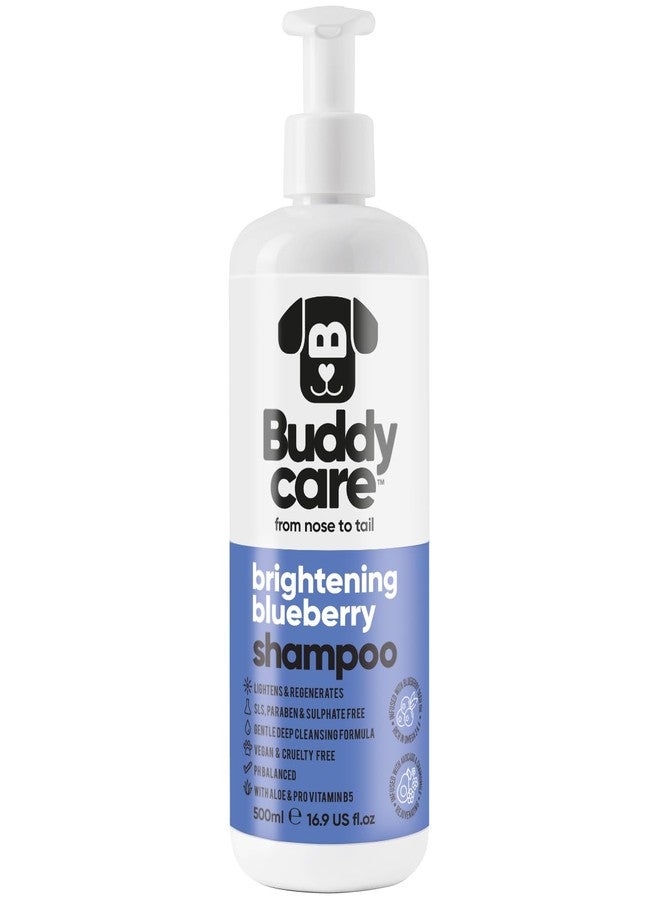 Buddycare شامبو التوت الأزرق للكلاب من بادي كير | علاج جفاف وحكة الجلد للكلاب ذات الرائحة الكريهة | شامبو تنظيف عميق للكلاب والجراء ذات البشرة الحساسة | شامبو وبلسم للكلاب | مع الصبار وفيتامين ب5 (16.90 أونصة) - Image 1