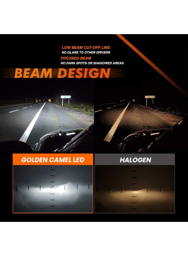 جولدن كامل مصابيح أمامية LED M8 Pro من Golden Camel بقوة 120 وات و15000 لومن ودرجة حرارة 6500 كلفن فائقة السطوع، شعاع مركّز بدون بقع داكنة، مقاومة للماء IP65، تبريد سريع، هيكل من الألومنيوم، 12 فولت 24 فولت، توصيل وتشغيل، مناسبة للسيارات والشاحنات والدراجات النارية ومركبات الدفع الرباعي والمركبات متعددة الأغراض ومجموعة H1 - Image 4