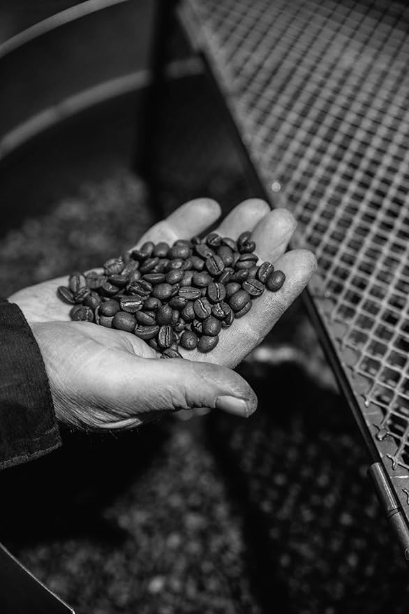 Bristot Espresso Beans – Medium Roast Italian Whole Bean Coffee – For Home Espresso Machines – 2.2 lb (1000g) Bag - Image 2