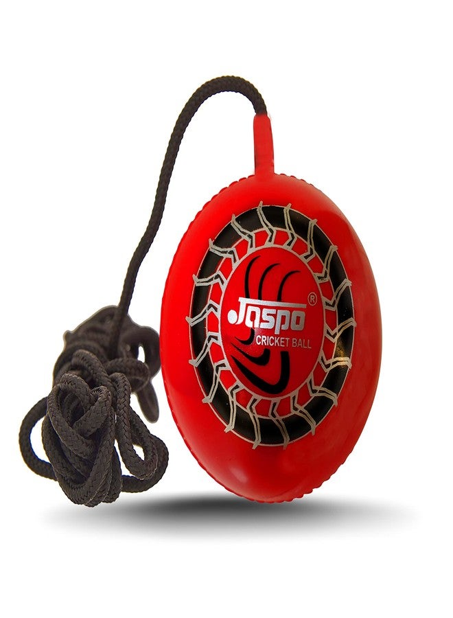 jaspo Synthetic Cricket Ball Match Practice Training for All Age Group, Recommended for Indoor/Outdoor Street & Beach Cricket/Hanging/Knocking/Hanging Cricket Ball (Multicolor) - Image 2