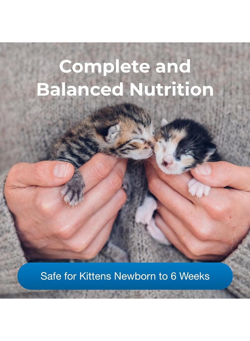 Petag Kmr Instant Powder Kitten, 340 grams - Pack May Vary - Image 3