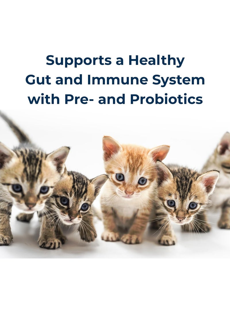 Petag Kmr Instant Powder Kitten, 340 grams - Pack May Vary - Image 5