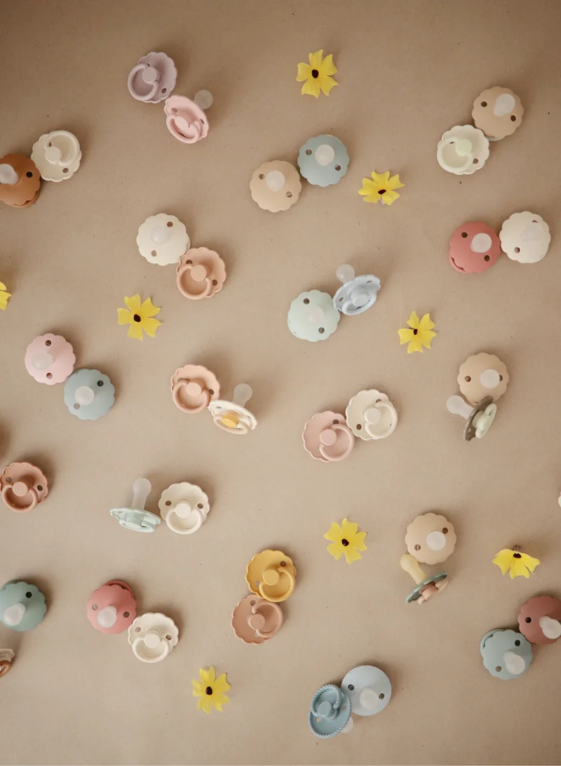 FRIGG Daisy Block Silicone Baby Pacifier 6-18M 1-Pack Desert - S2