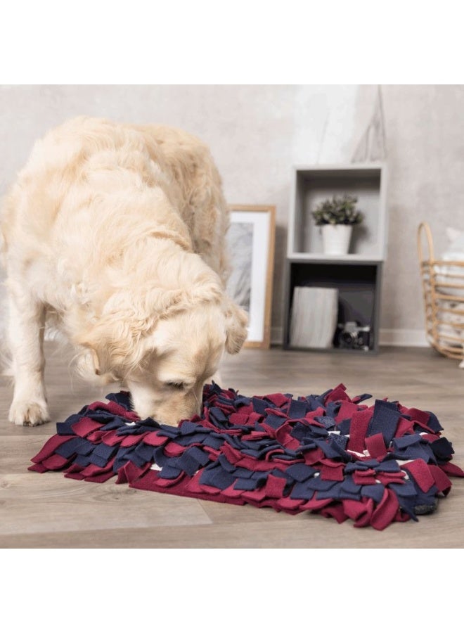 Trixie Dog Activity Sniffing Carpet Toy 50 X 34cm - Image 1