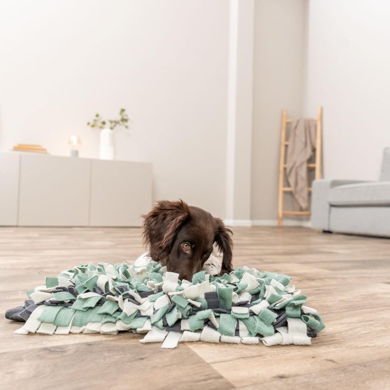Trixie Dog Activity Sniffing Carpet Toy - Image 5