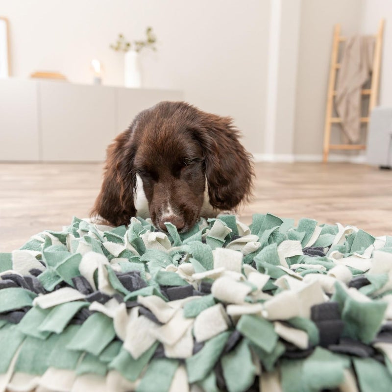 Trixie Dog Activity Sniffing Carpet Toy - Image 4