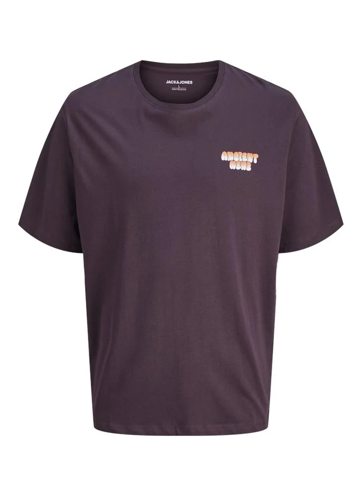 JACK & JONES Jjwobly Crew Neck T-Shirt