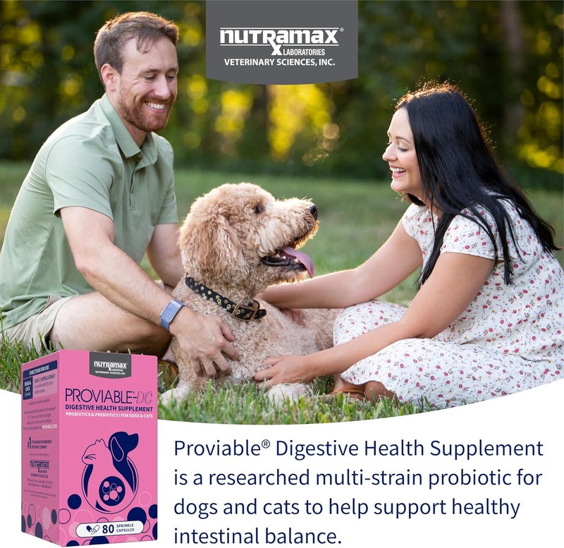 Nutramax Laboratories Nutramax Proviable-DC Digestive Health Supplement for Dogs and Cats - 80 Sprinkle Capsules with Probiotics and Prebiotics - Image 3