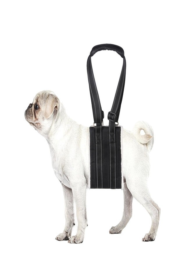 lenpestia Adjustable Dog Lift Harness Dog Sling Portable Dog Sling for Back Legs Dog Lift Harness for Large Dogs Soft Lift Support and Rehab Harness for Senior,Injured,Disabled Dogs After ACL Surgery(S) - Image 1