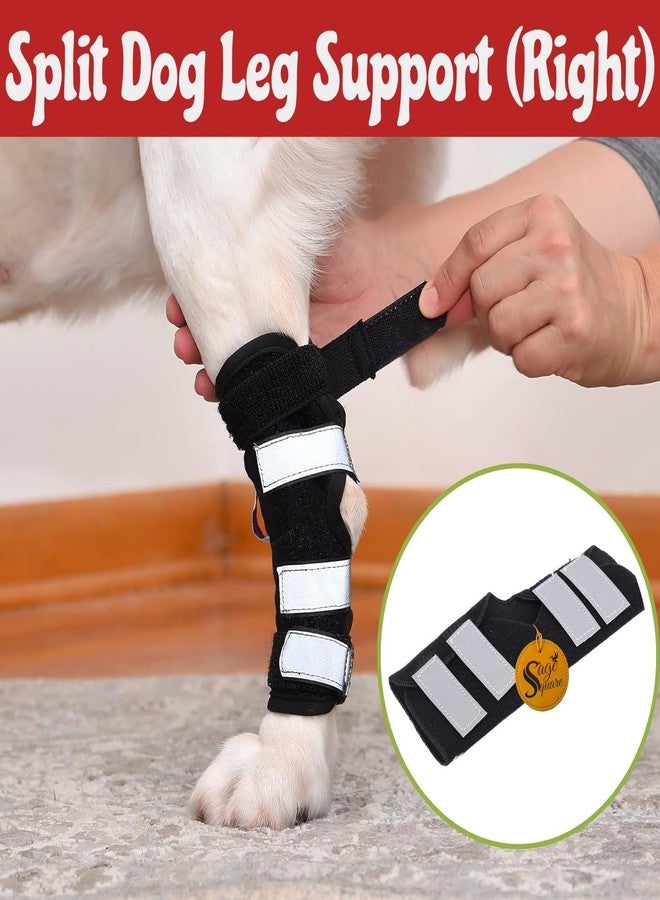 Sage Square Dog Splint Leg Support for Front & Rear Legs | Orthopedic Brace for Canine Injury Recovery, Fractures, Arthritis & Joint Pain | Adjustable & Durable | Prevents Further Injury | (Right) - Image 2