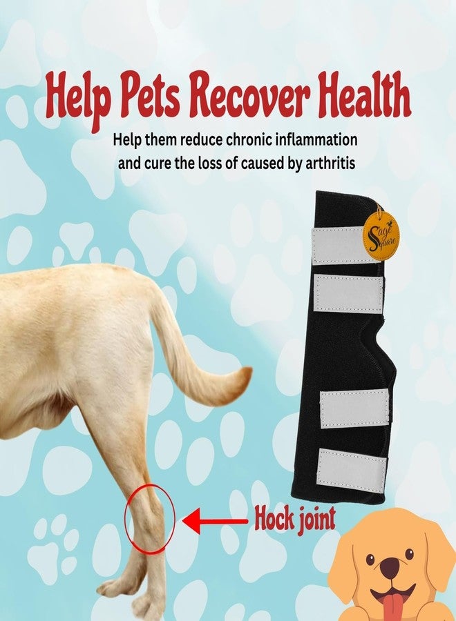 Sage Square Dog Splint Leg Support for Front & Rear Legs | Orthopedic Brace for Canine Injury Recovery, Fractures, Arthritis & Joint Pain | Adjustable & Durable | Prevents Further Injury | (Right) - Image 4