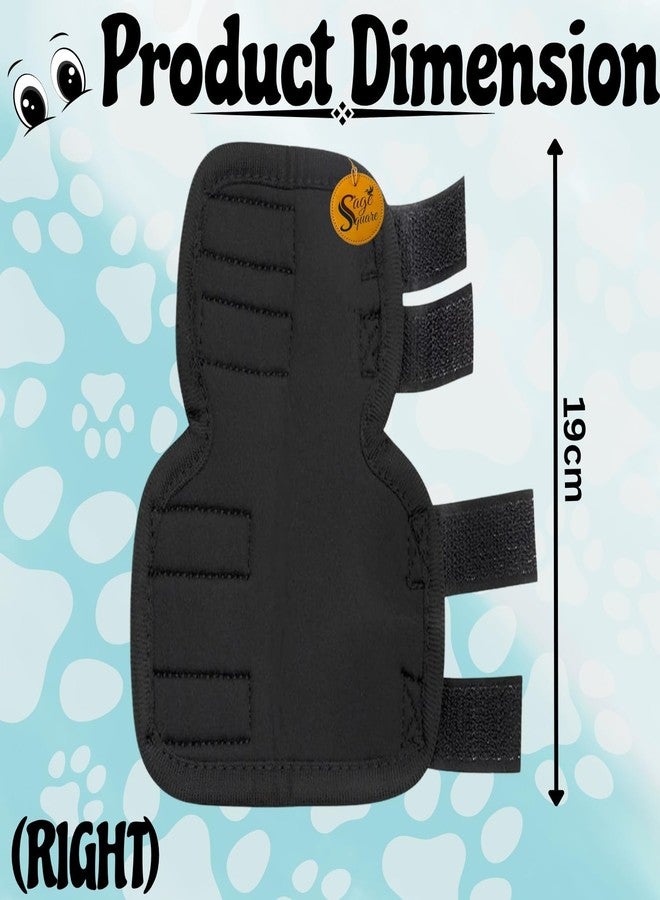 Sage Square Dog Splint Leg Support for Front & Rear Legs | Orthopedic Brace for Canine Injury Recovery, Fractures, Arthritis & Joint Pain | Adjustable & Durable | Prevents Further Injury | (Right) - Image 3