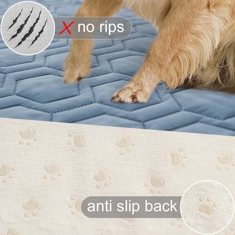 Tcksstex Waterproof and Anti-Slip Dog Bed Cover and Pet Blanket Sofa Pet Bed Mat ï¼Œcar Incontinence Mattress Protectors Furniture Couch Cover for Most Cats Dogs, Pets ï¼ˆ82x82- Stoneblueï¼‰ - Image 3