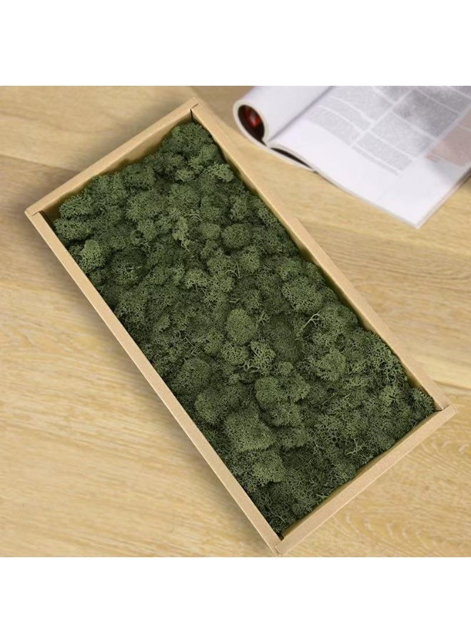 RYK-Natural Preserved Dried Reindeer Lichen Moss， Handmade, elegant moss wall decoration - zero maintenance, perfect for home, office, and wedding venues - Image 1