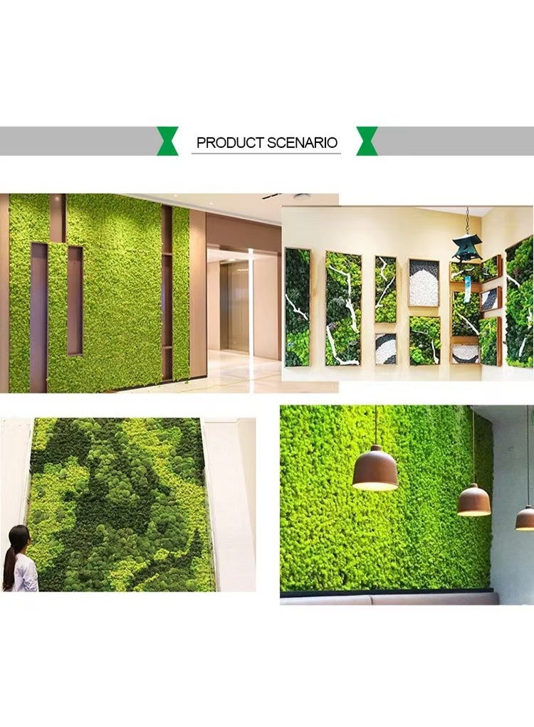 RYK-Natural Preserved Dried Reindeer Lichen Moss， Handmade, elegant moss wall decoration - zero maintenance, perfect for home, office, and wedding venues - Image 2
