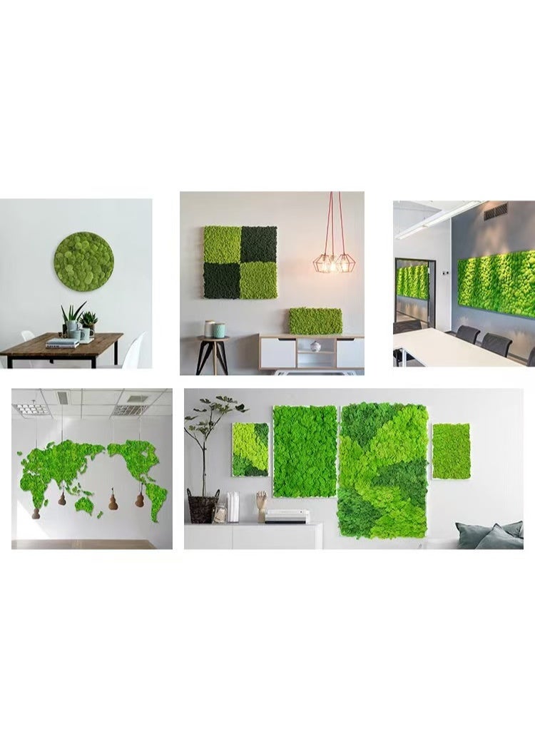 RYK-Natural Preserved Dried Reindeer Lichen Moss， Handmade, elegant moss wall decoration - zero maintenance, perfect for home, office, and wedding venues - Image 4
