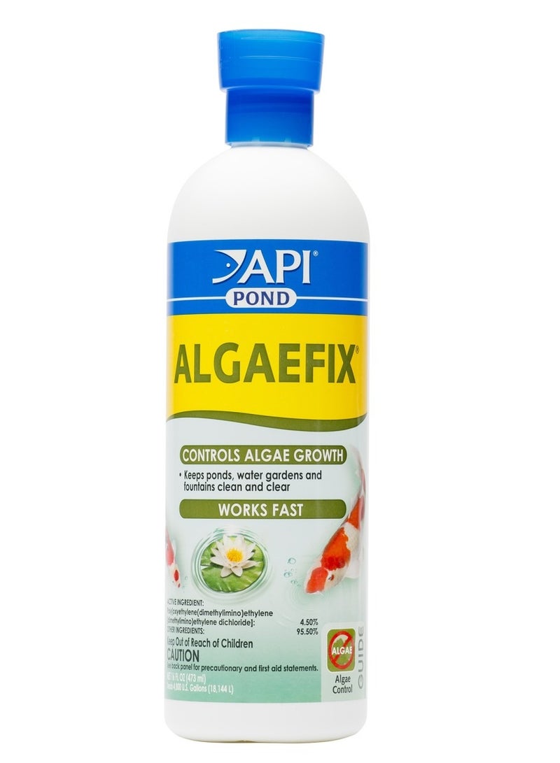 ايه بي آي API POND ALGAEFIX، 16 أونصة