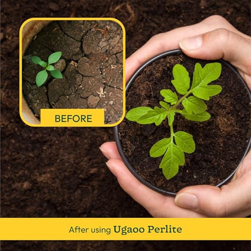 Ugaoo Perlite for Gardening Potting Soil, Indoor & Outdoor, Hydroponics and Horticulture Potting Mix- 500 Grams - Image 3