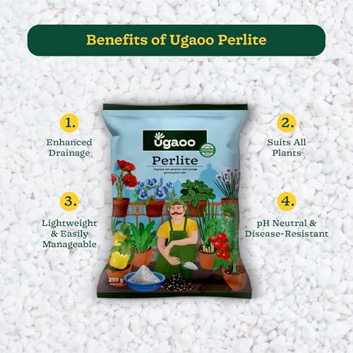 Ugaoo Perlite for Gardening Potting Soil, Indoor & Outdoor, Hydroponics and Horticulture Potting Mix- 500 Grams - Image 5