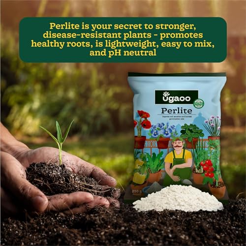 Ugaoo Perlite for Gardening Potting Soil, Indoor & Outdoor, Hydroponics and Horticulture Potting Mix- 500 Grams - Image 2