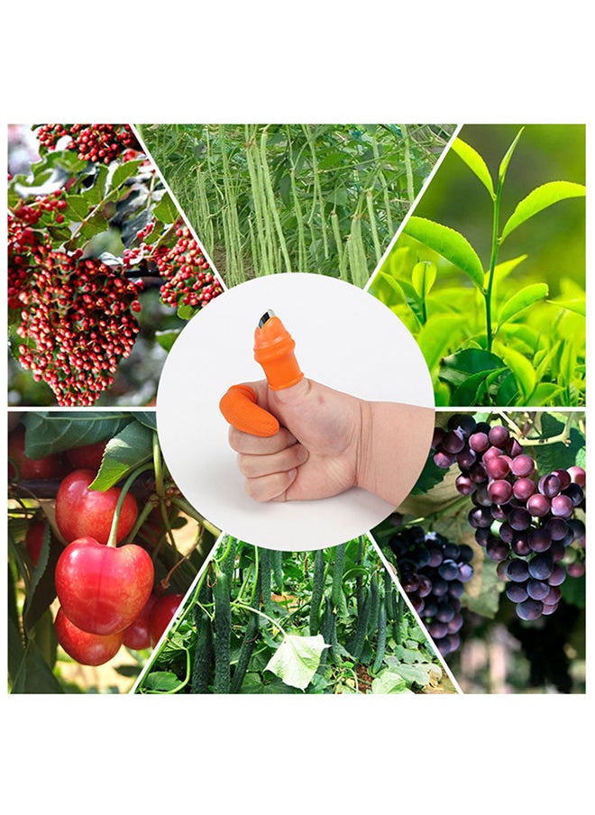 NIBEMINENT - Pick Beans Thumb Blade With Finger Glove Orange 6 x 3centimeter - Image 1